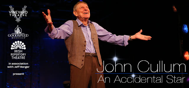 640px x 300px - An Accidental Star: Donation - Vineyard Theatre